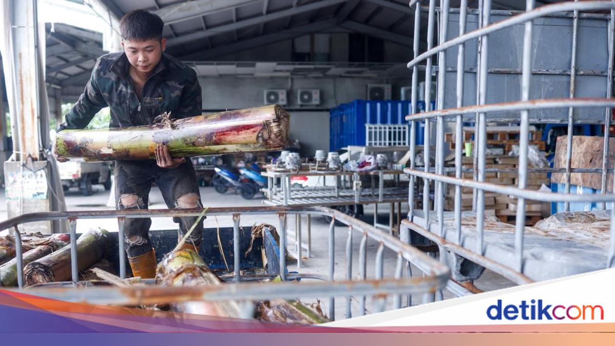 Inovasi Tekstil Berkelanjutan Taiwan, Serat Pisang Jadi Kain Modern