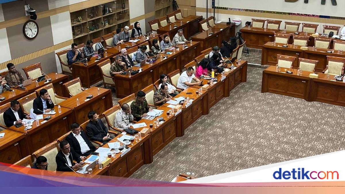 Penyandang Down Syndrome Minta Kesetaraan di DPR: Jangan Anggap Kami Beban