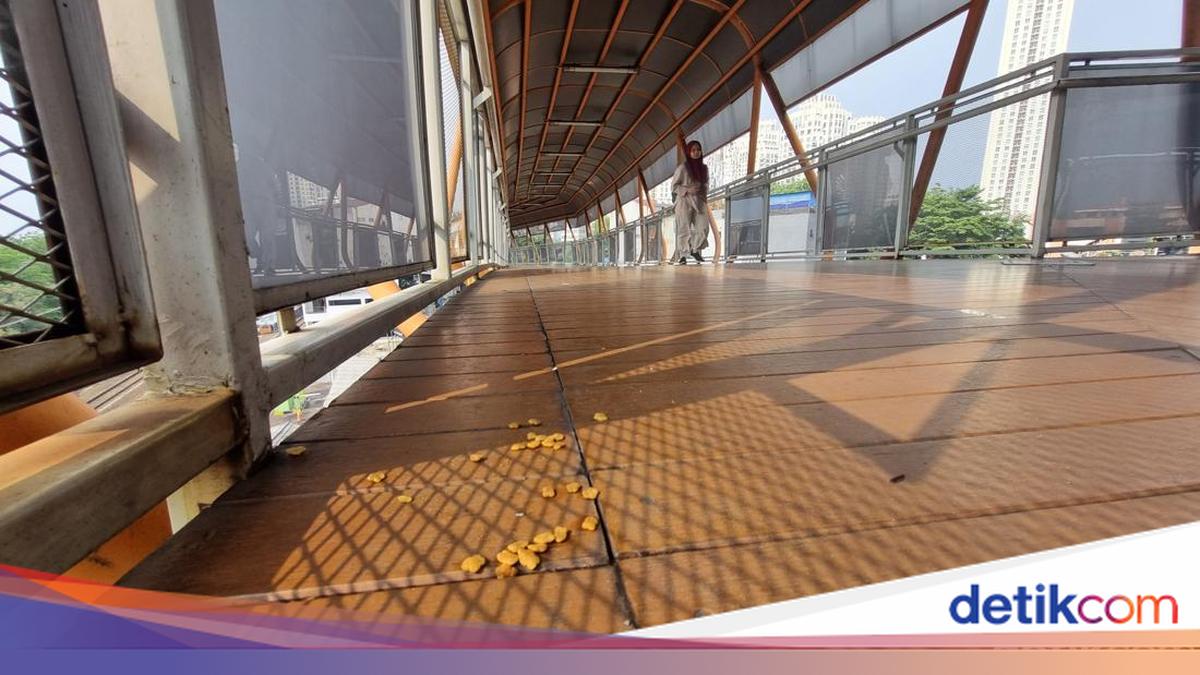 Skywalk Kebayoran Bau Kotoran Kucing, Warga: Jangan Kasih Makanan di Sini