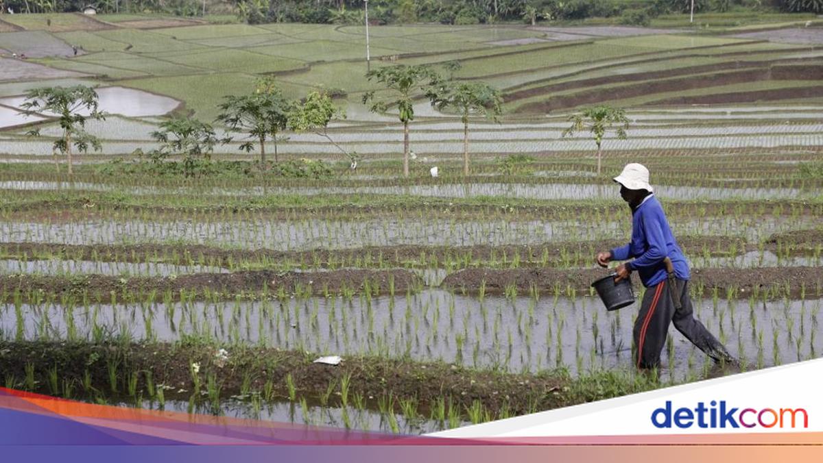 SPI Minta Pansus Konflik Agraria DPR Gerak Cepat dan Libatkan Serikat Petani