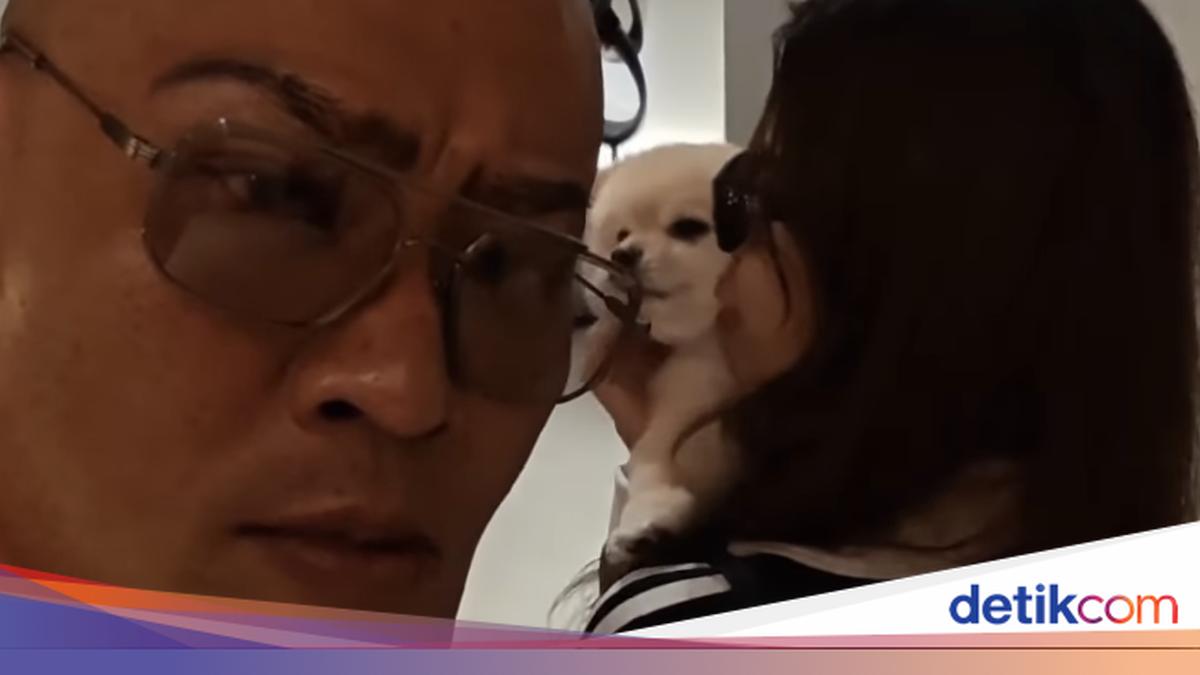 Alasan Sabrina Chairunnisa Gak Salim ke Deddy Corbuzier saat Pulang ke Rumah