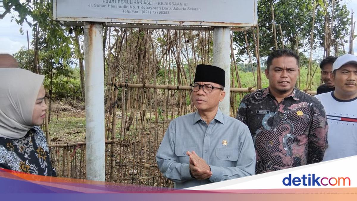 Mendes Ungkap Duduk Perkara 2 Desa di Sukamakmur Bogor Dilelang