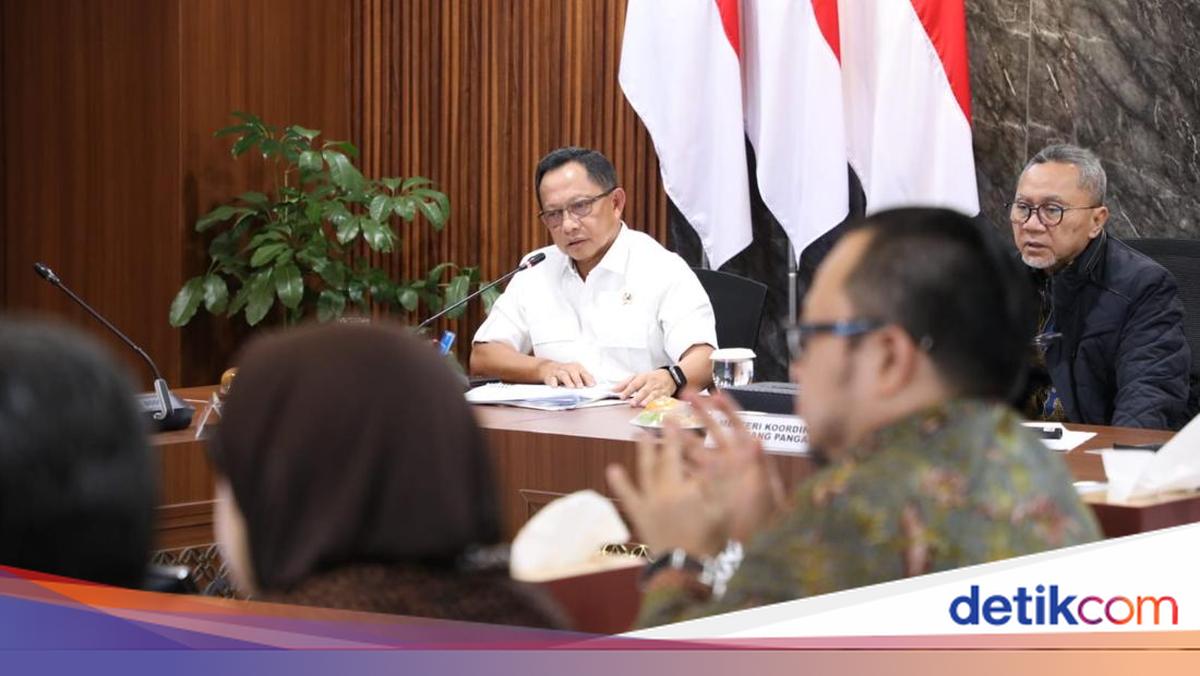 Rakortas Tingkat Menteri, Mendagri Tito Bahas Peran Pemda Dukung PSEL