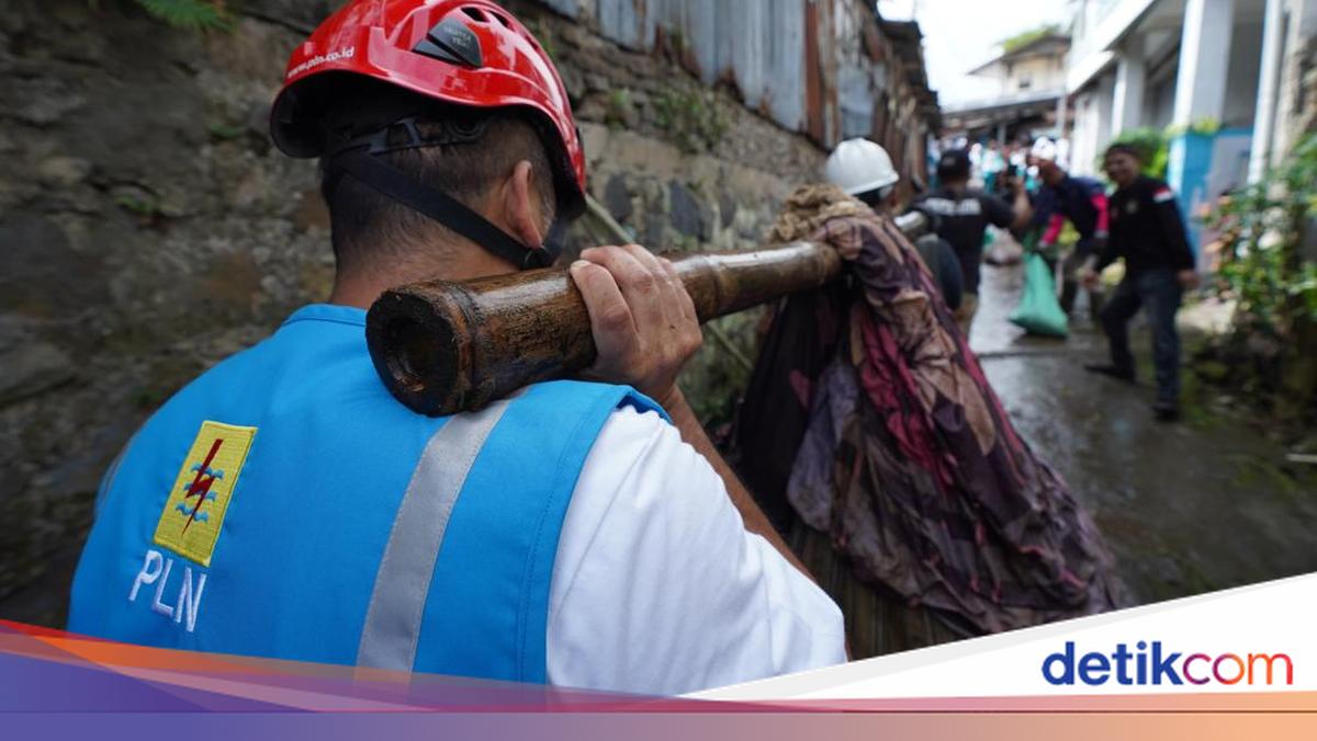 PLN dan KLH Bersihkan DAS Ciliwung, Angkut 176 Kg Sampah-Tanam 2.500 Pohon