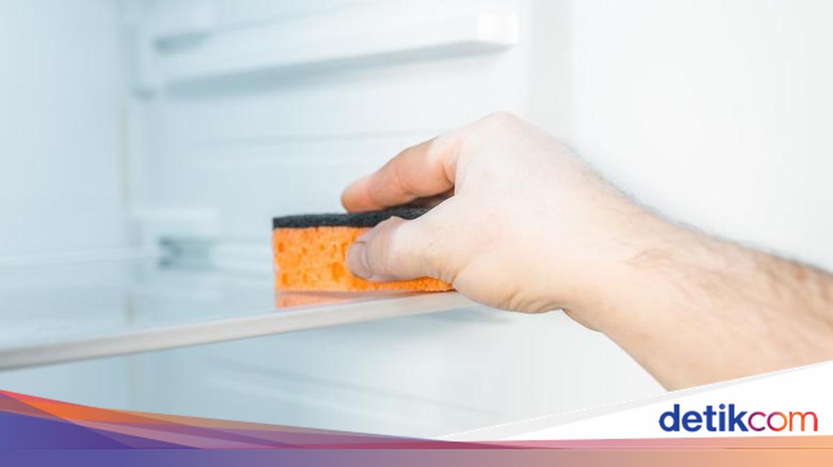 Spons Cuci Piring Juga Bisa untuk Bersihkan Kulkas, Begini Caranya