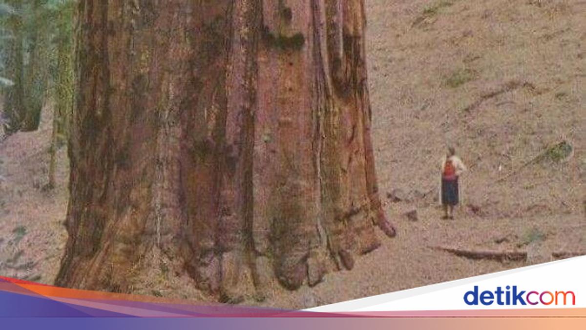 Wow! Manusia Tampak Mini Banget di Dekat Benda-Benda Raksasa