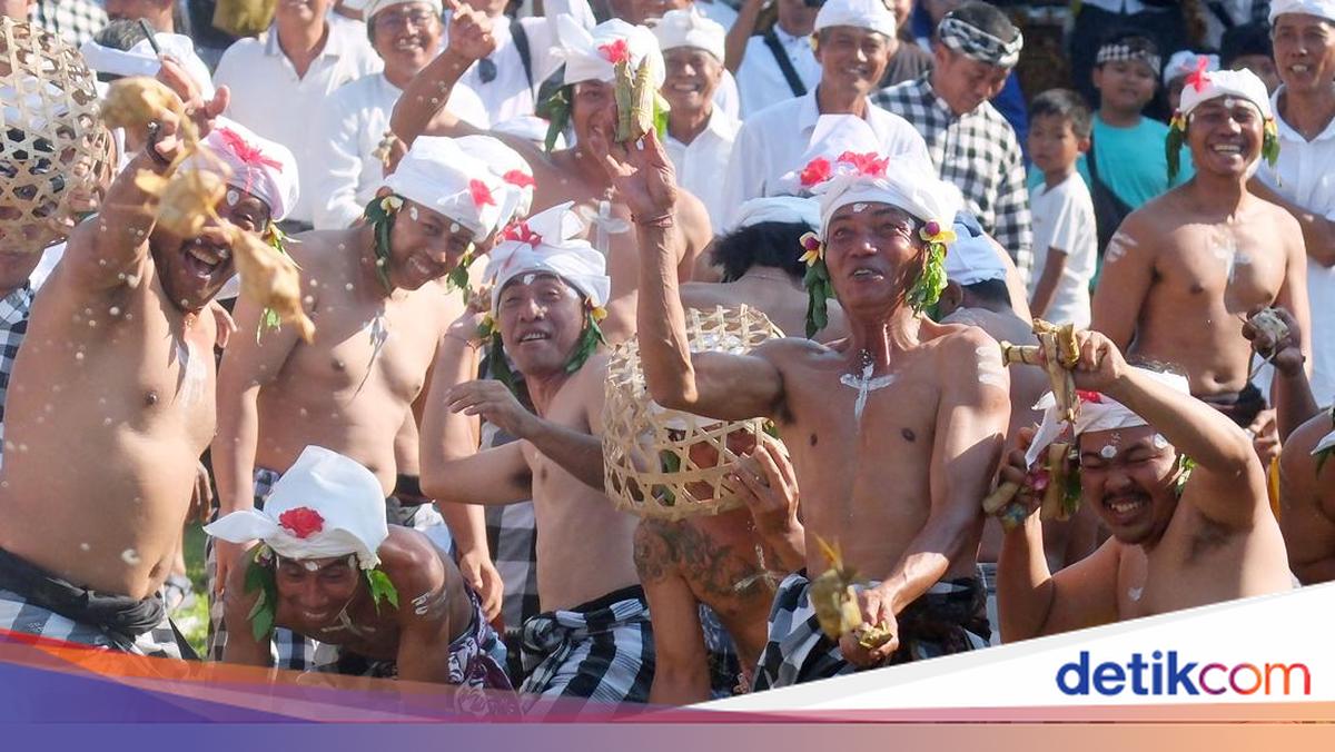 Tradisi Aci Tabuh Rah Pengangon, Warga Bali Rayakan Perang Ketupat di Badung