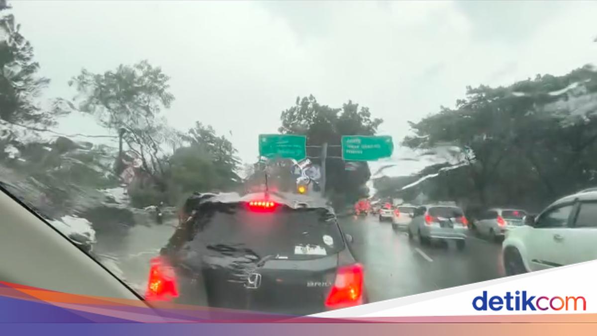 Pohon Tumbang Bikin Macet, Pemobil Ini Sampai Mutar-mutar 2 Jam di BSD