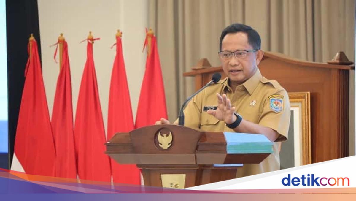 Mendagri Tak Sangka Raih detikcom Awards, Cerita Upaya Kembangkan Ekonomi Daerah