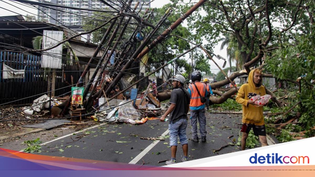 Tangsel-Depok Hujan Angin hingga Pohon Bertumbangan, Ini Analisis BMKG