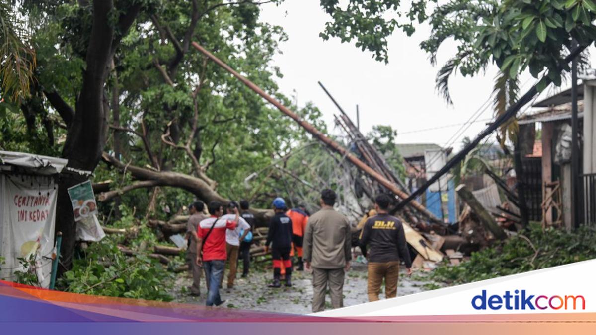 Reklame hingga Pohon Tumbang di Tangsel Diterjang Hujan Angin Kencang