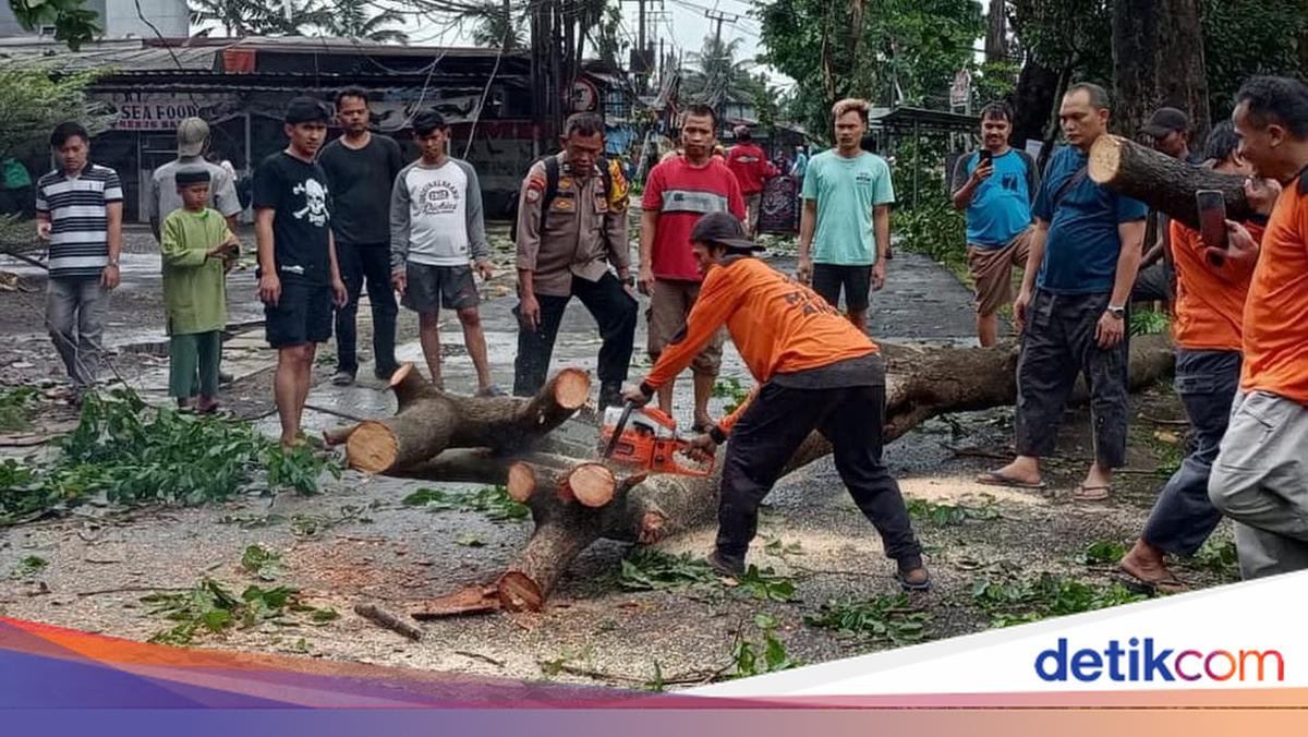 Pohon Tumbang Akibat Hujan Deras di Limo Depok, Lalin Macet