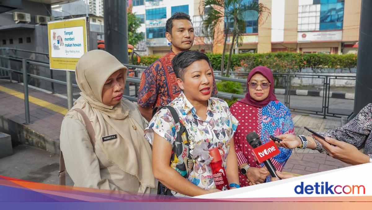 Skywalk Kebayoran Kini Disediakan Tempat Khusus Beri Makan Kucing