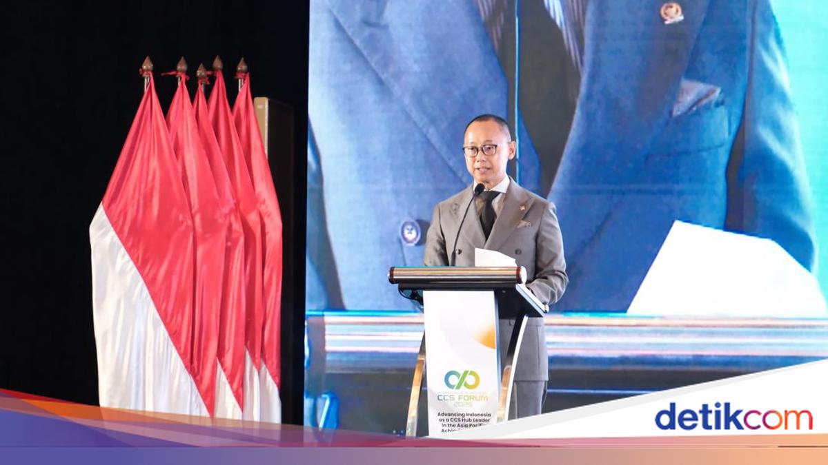 Eddy Soeparno Ungkap Pengembangan CCS Sejalan dengan Komitmen NZE Prabowo