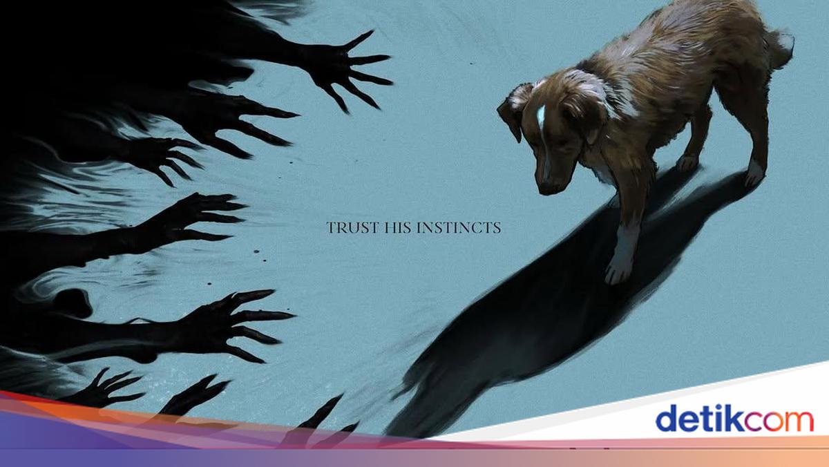 Good Boy: Saat Anjing Jadi Saksi Teror di Rumah Berhantu