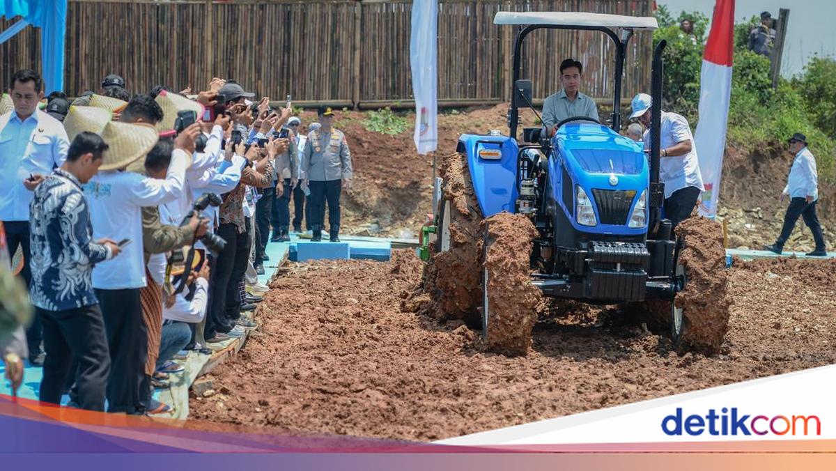 Wapres Gibran Tanam Jagung dan Tebar Ikan Nila di Tangerang