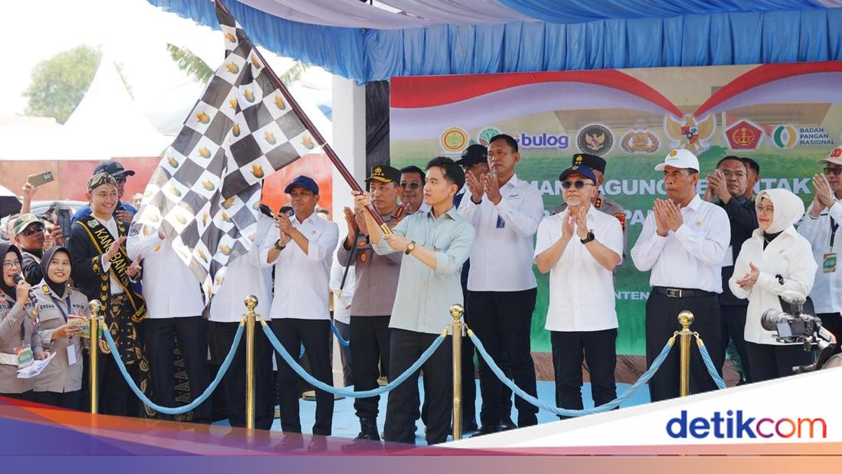 Tanam Serentak, 1.268 Ton Jagung Dilepas Polri untuk Bulog