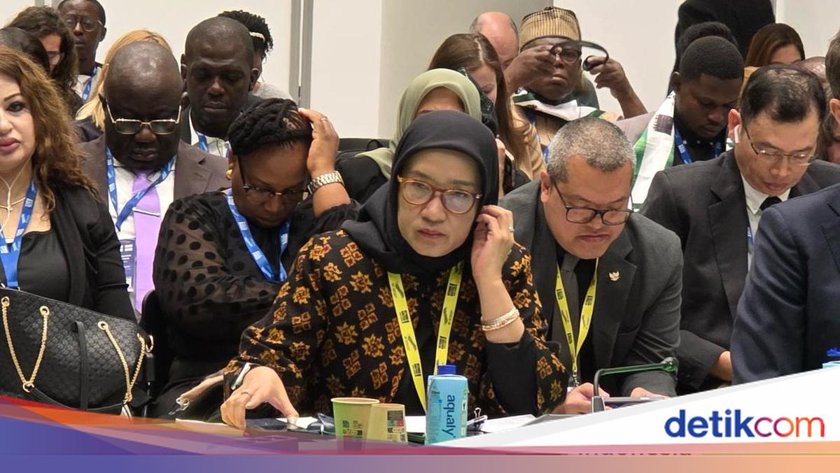 Di Sidang OECD, MenPAN-RB Sampaikan Komitmen Perkuat Pemerintahan Terbuka