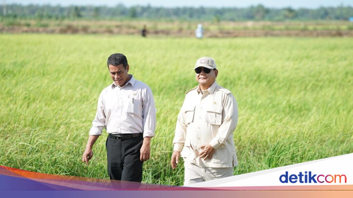 Survei Litbang Kompas: 71,5% Publik Puas dengan Kinerja Kementan