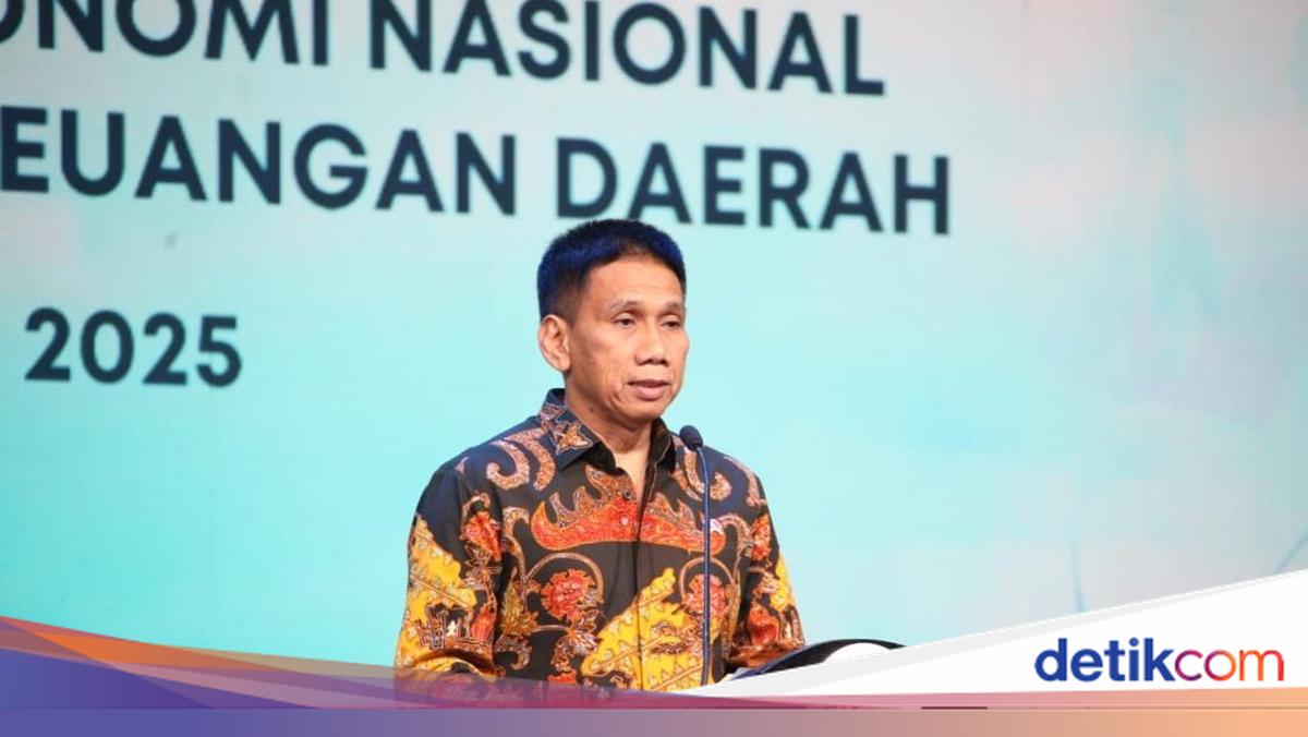 Wamendagri Tekankan Peran TPAKD untuk Inklusi Keuangan Daerah