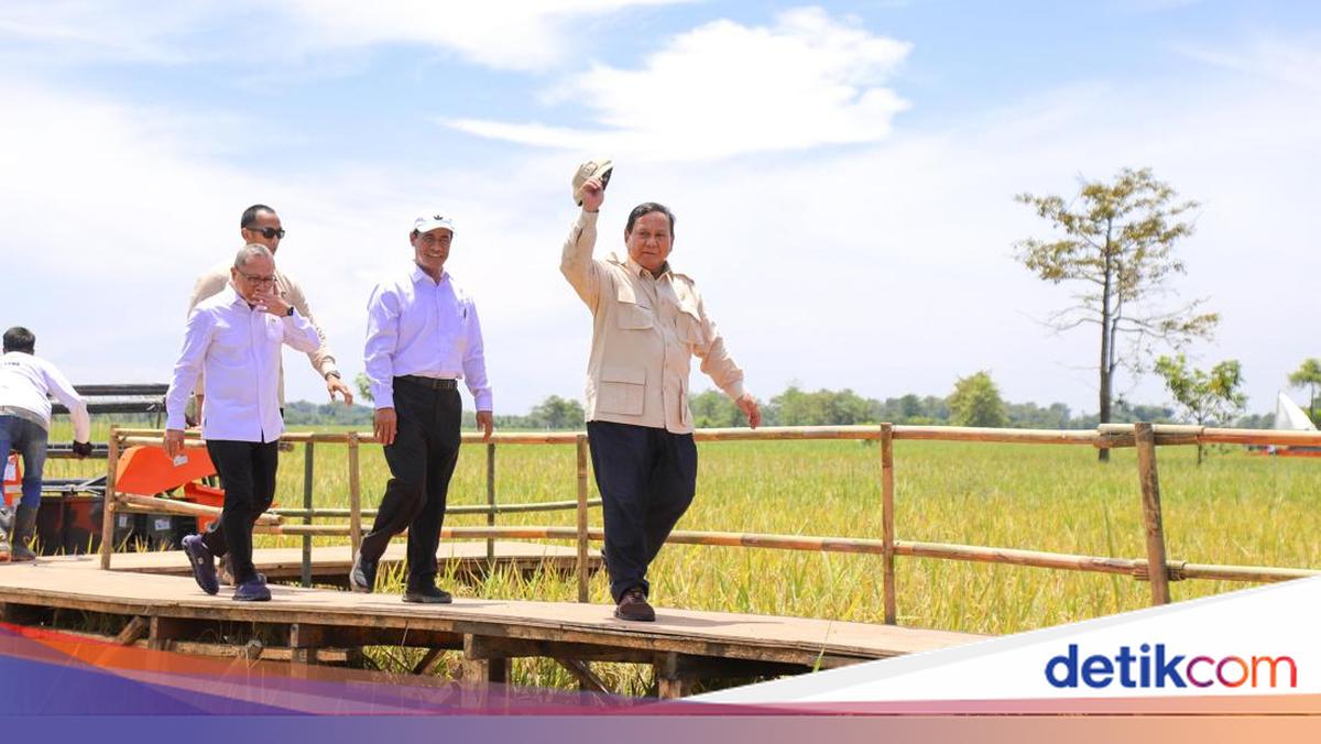 Litbang Kompas: Masyarakat Puas dengan Kinerja Kementan