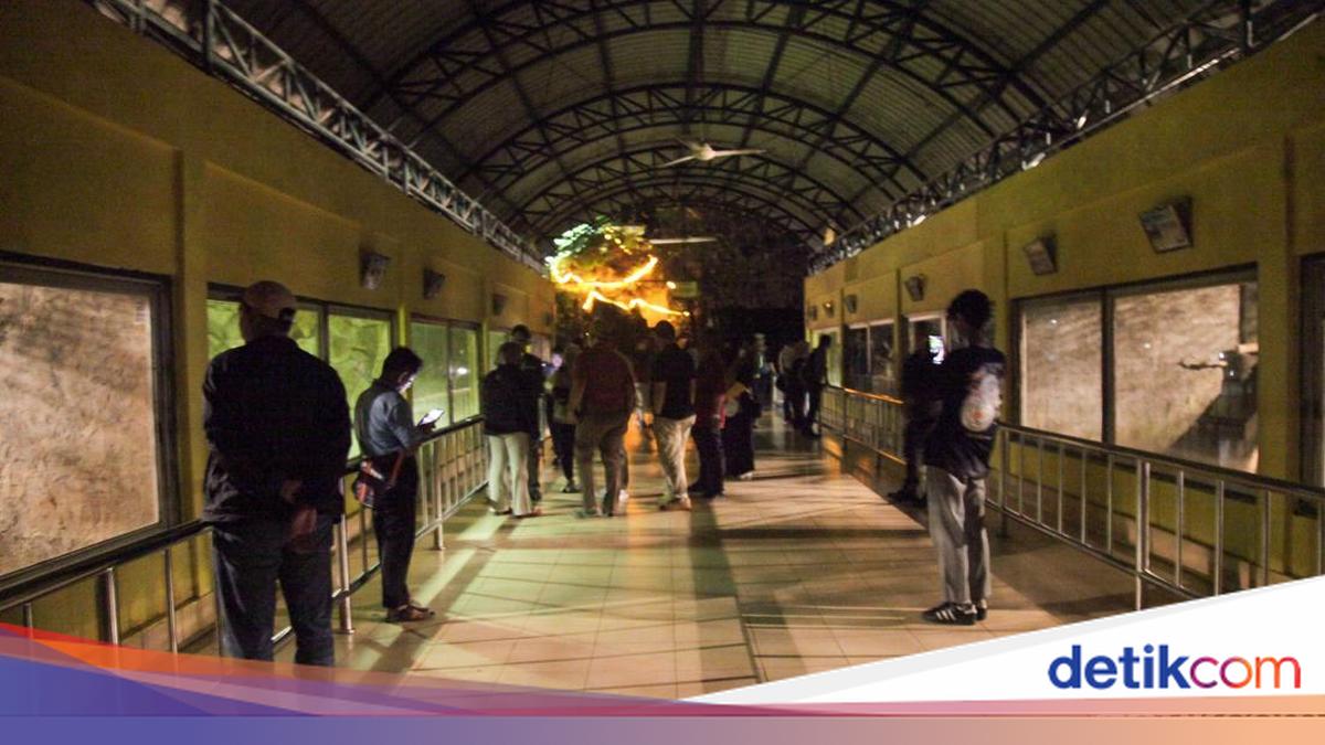 Total 3.635 Warga Kunjungi Wisata Malam Ragunan Hari Ini