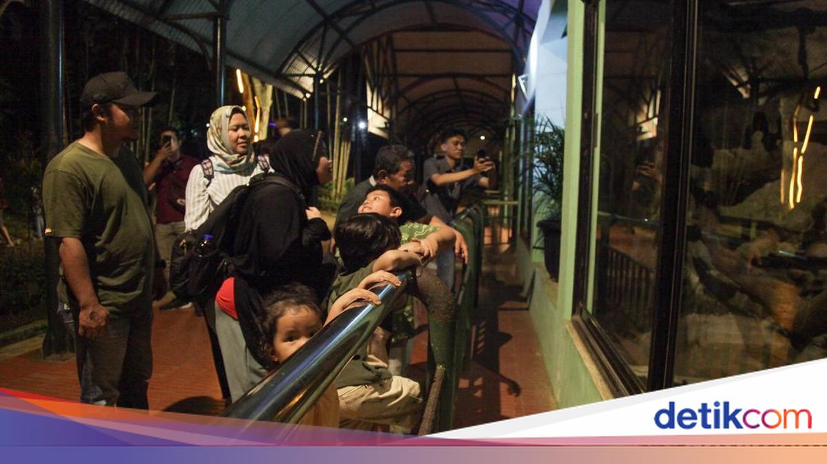 Antusiasme Tinggi Warga Saat TM Ragunan Perdana Buka Malam Hari