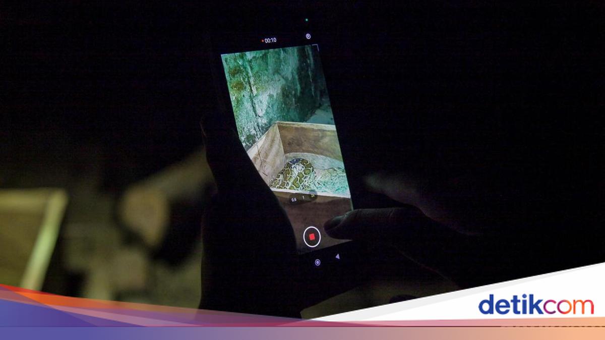 Pengunjung Wisata Malam Ragunan Kecewa Tak Bisa Lihat Satwa, Ini Sebabnya