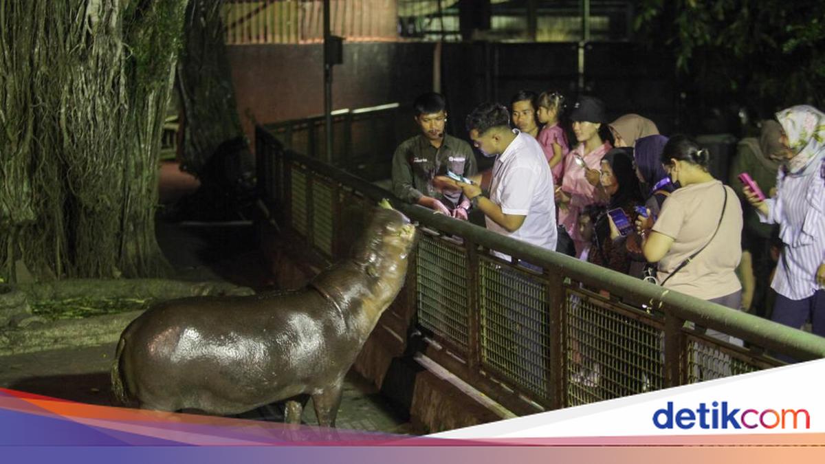 Ragunan Buka Wisata Malam Hari, Warga Antusias Coba Pengalaman Baru