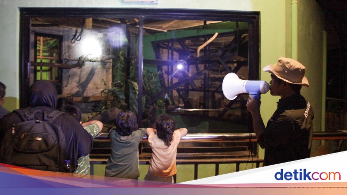 Ketua Komisi D DPRD DKI Usul Ada Bus Wara-wiri Saat Wisata Malam Ragunan