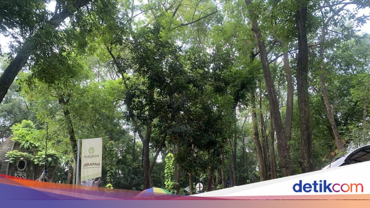 Warga Antusias Sambut Wisata Malam Ragunan: Tak Perlu Panas-panasan