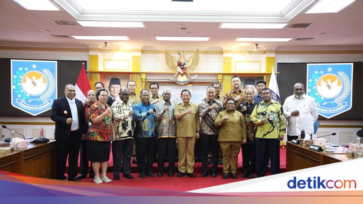 Mendagri Dorong Sinkronisasi Program Pusat-Daerah dalam Pembangunan Papua