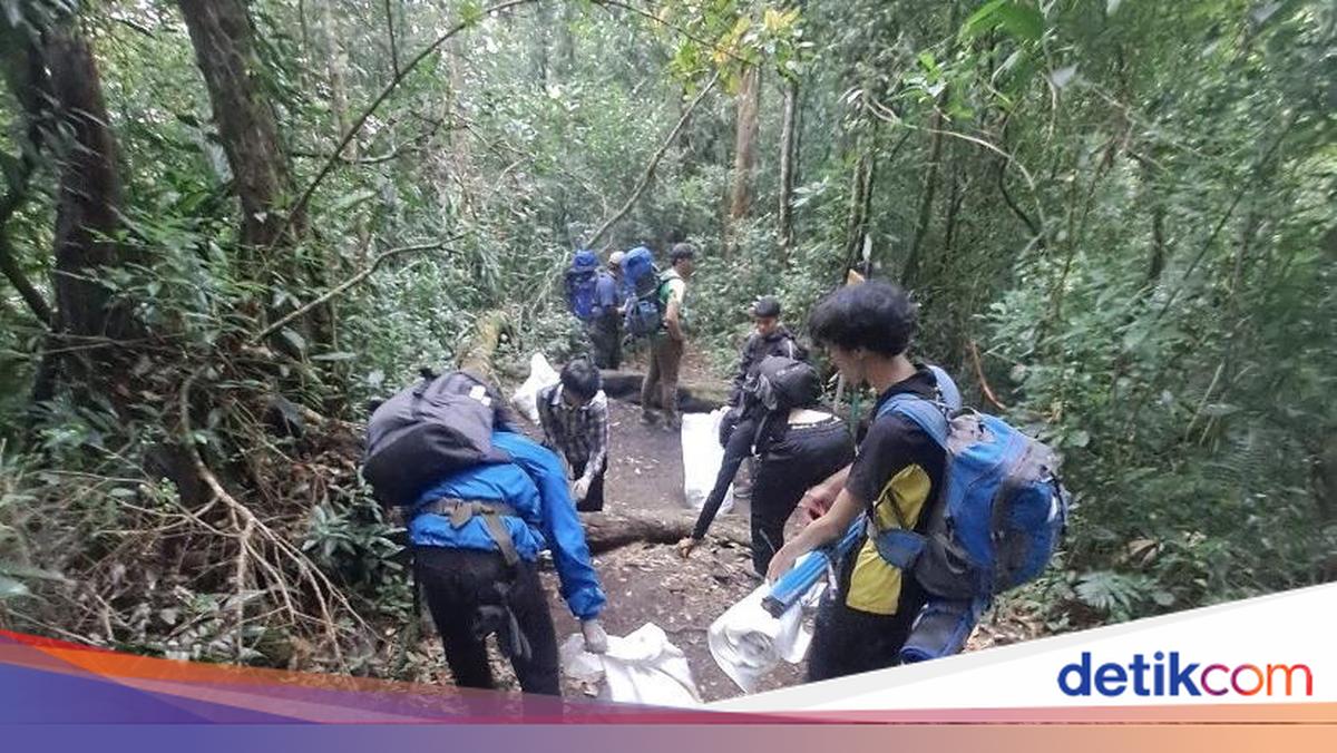 Tim Operasi Bersih Angkut 115 Kg Sampah dari Gunung Gede Pangrango