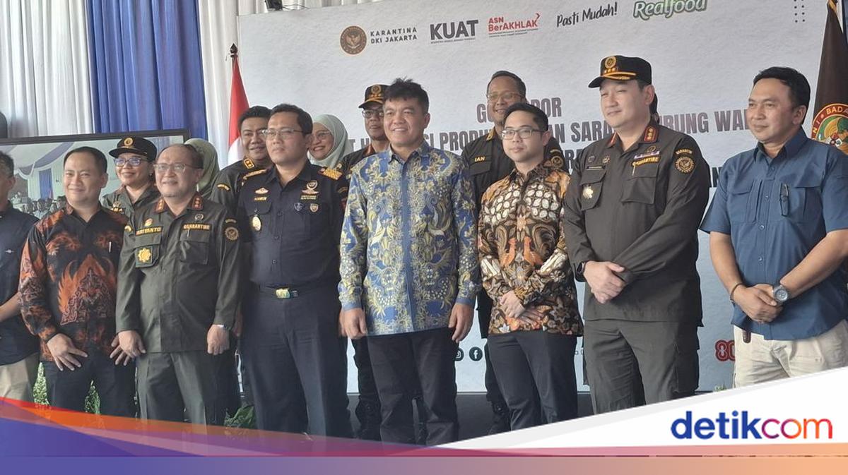 Ekspor Olahan Sarang Burung Walet Diharapkan Tingkatkan Ekonomi Desa