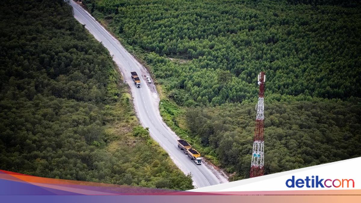 RKAB Belum Terbit, BYAN Umumkan Kondisi Kahar
