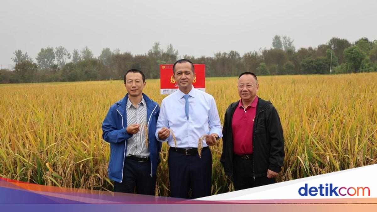 Kementrans Sebut Investor Wuhan Minat Kembangkan Kawasan Transmigran