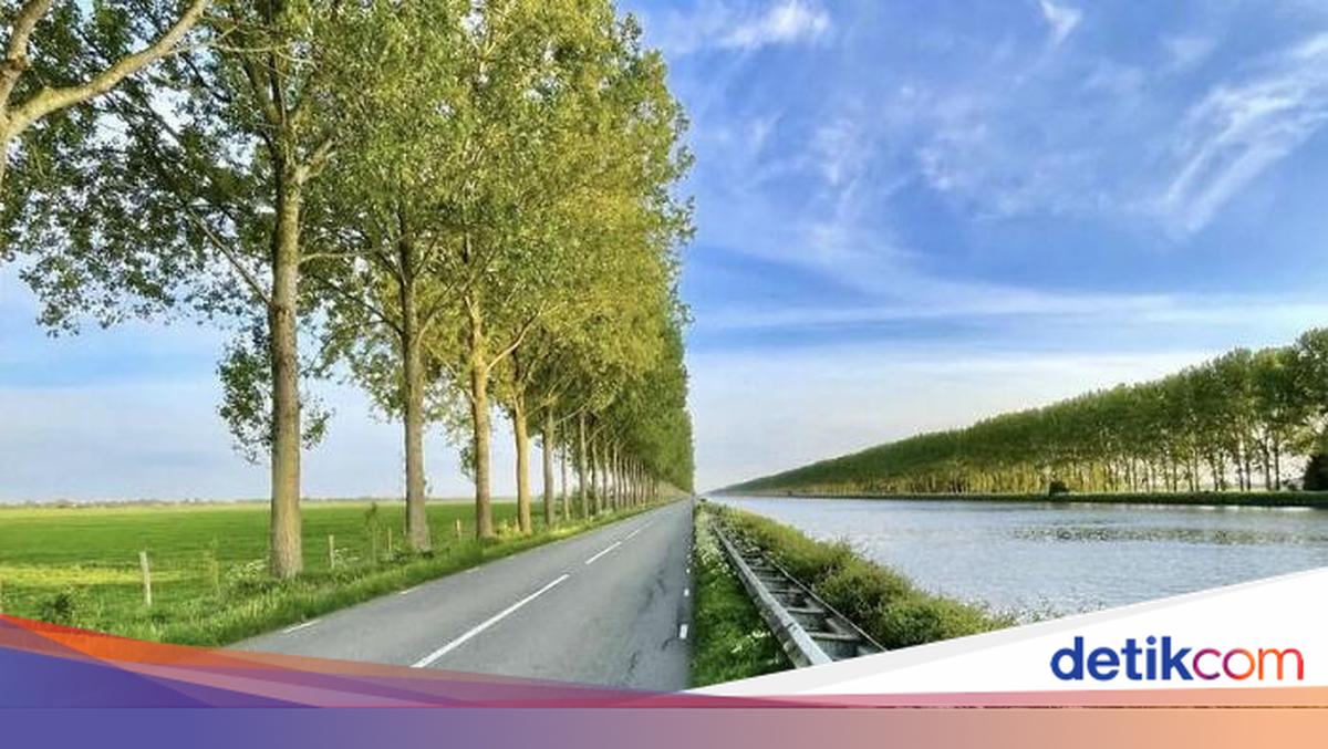 Yalangoch Fibi Keyts Rus pornosi: katta eshak talaba