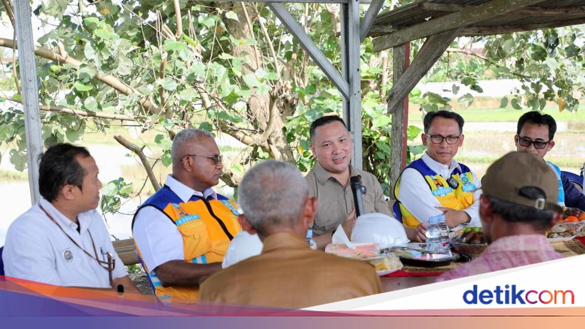 Jaringan Irigasi Rejomulyo Dorong Produktivitas Petani, Panen 3 Kali Setahun