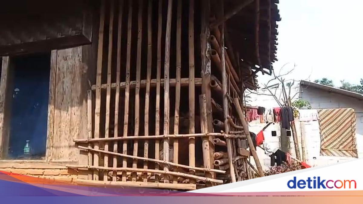 Terkendala Biaya Berobat, Wanita ODGJ di Tenjo Bogor Dipasung di Kandang