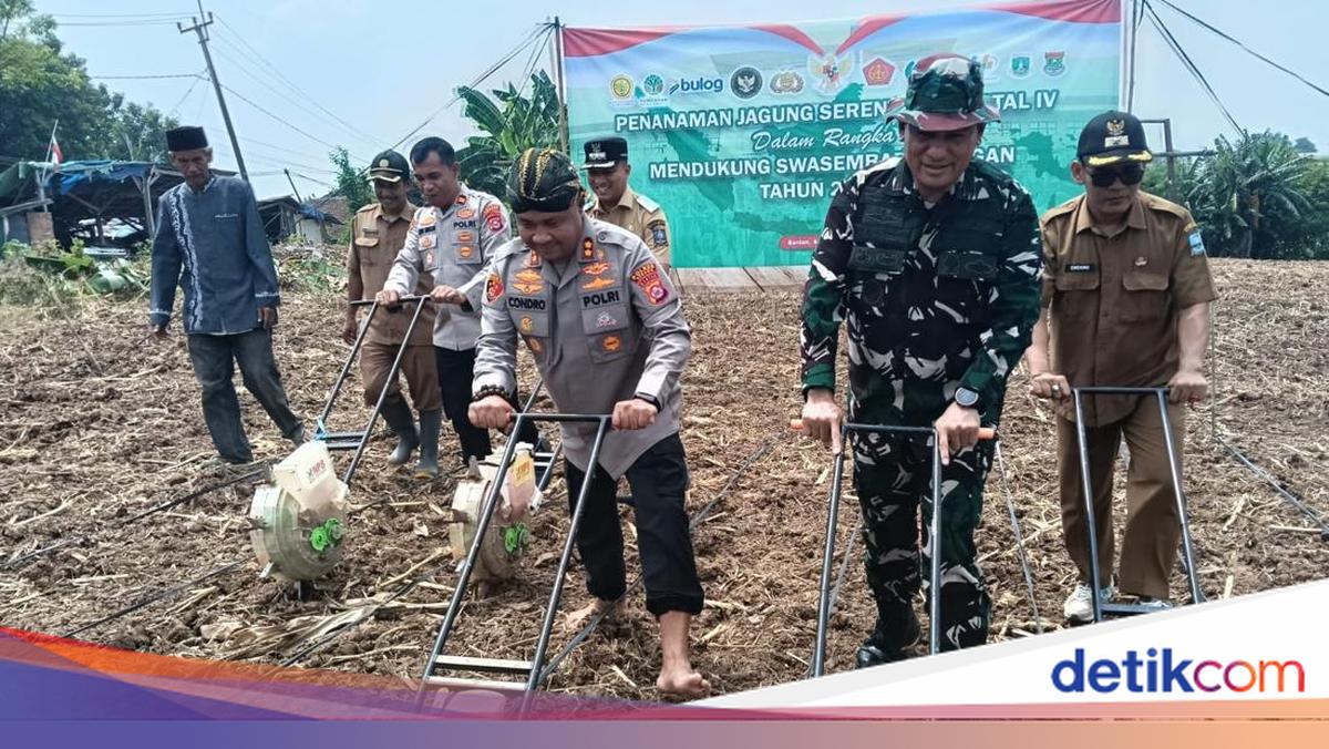 Dukung Ketahanan Pangan, Polres Serang Tanam 471 Hektare Jagung