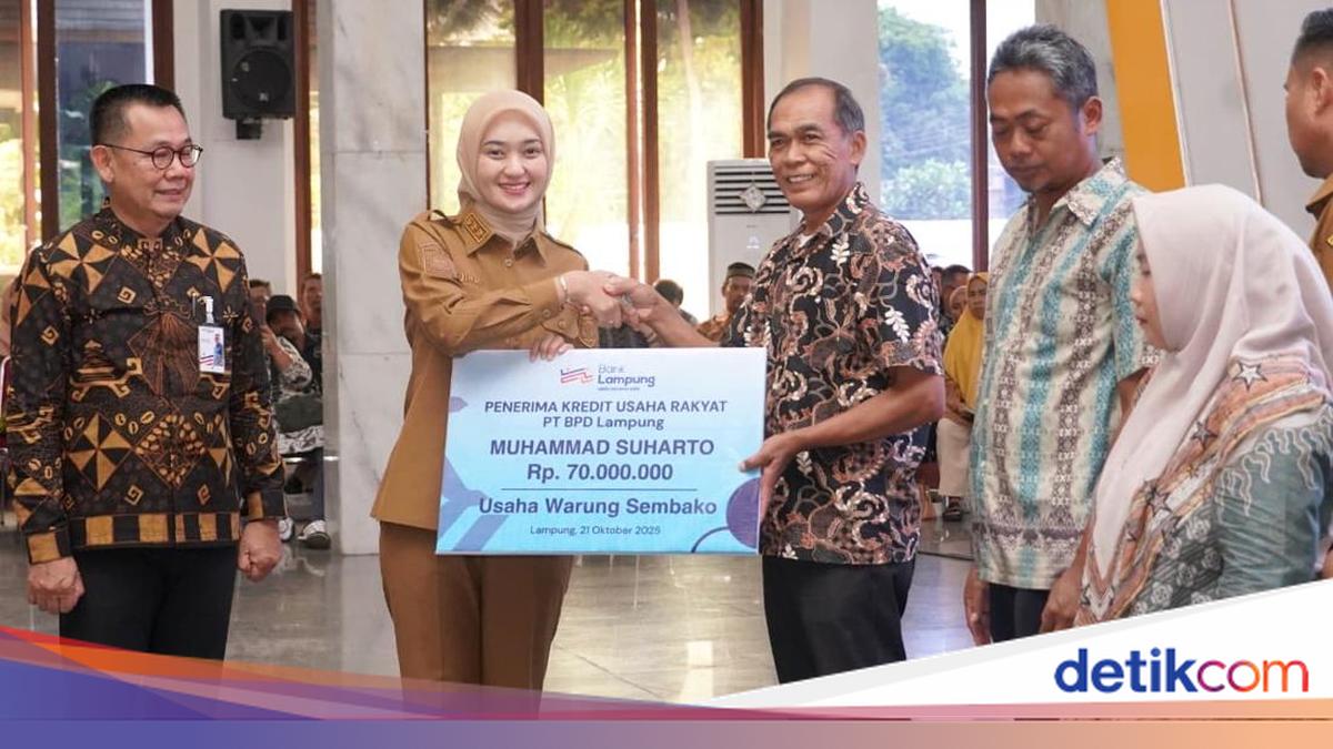 Dukung Penciptaan Lapangan Kerja, Wagub Lampung Serahkan KUR ke UMKM