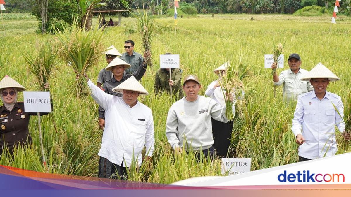 Sultan Serahkan Alsintan dan Benih Jagung untuk Petani di Mukomuko