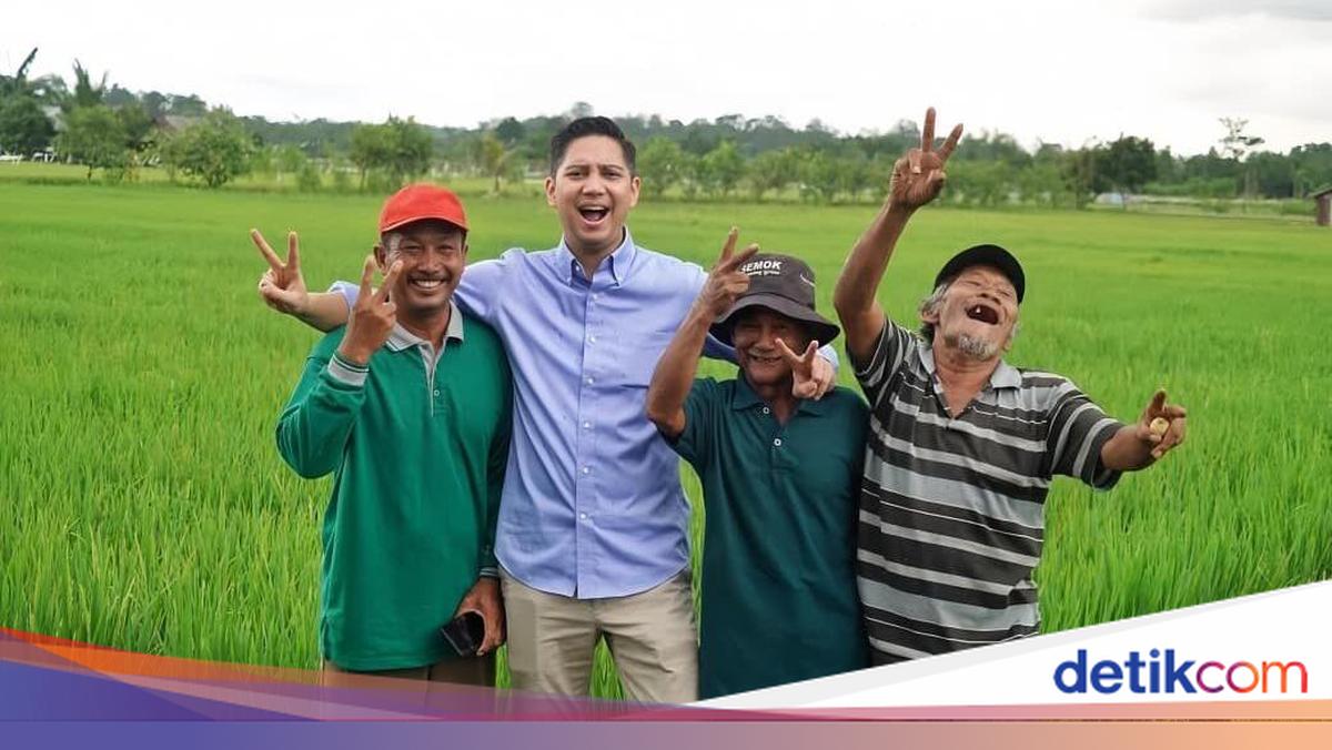 Setahun Kerja Prabowo-Gibran, Budisatrio: Kedaulatan Pangan Tak Sekadar Slogan