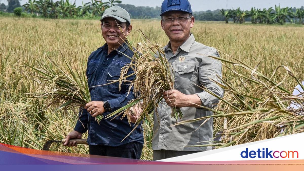 Harga Pupuk Turun, Mardiono Ingatkan Pengawasan agar Tepat Sasaran