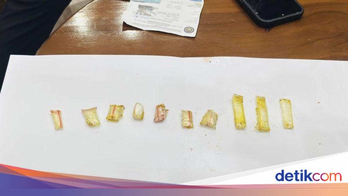 Lapas Narkotika Jakarta Gagalkan Penyelundupan Sabu Dibungkus Ayam Kecap