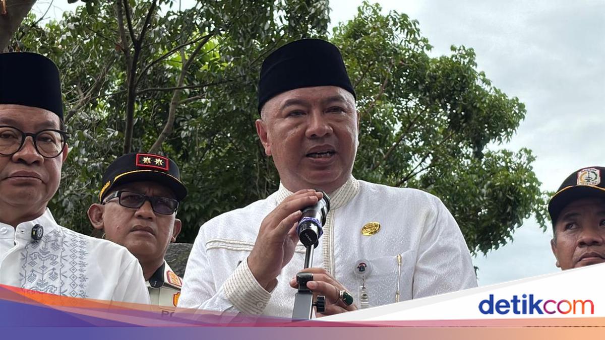 Marak Pohon Tumbang, Distamhut DKI Sebut 62.161 Pohon Dipangkas