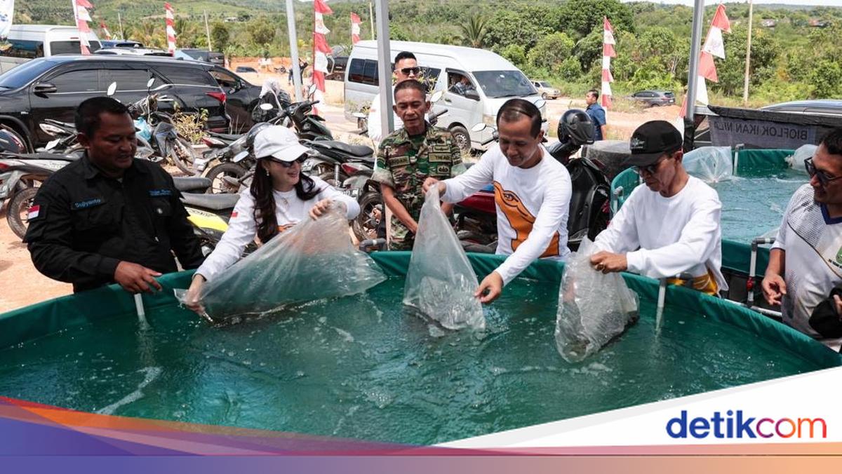 Kementrans Proyeksikan Kawasan Transmigrasi Barelang Jadi Wisata Terpadu
