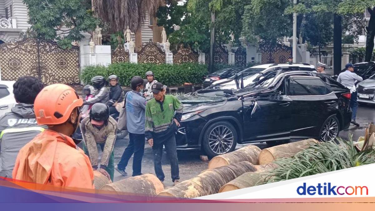Pramono Minta Anak Buah Pasang Penyangga Cegah Tragedi Pohon Tumbang Terulang