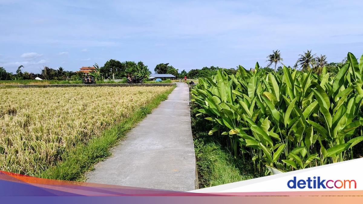 Gali Potensi Wisata, Pemkab Badung Kembangkan Pariwisata di Kawasan Utara