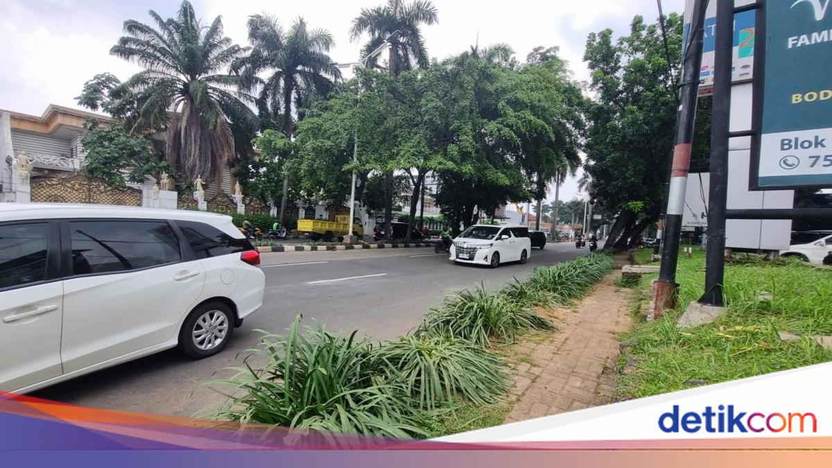 Detik-detik Pohon Tumbang di Pondok Indah Timpa Lexus hingga Pengemudi Tewas